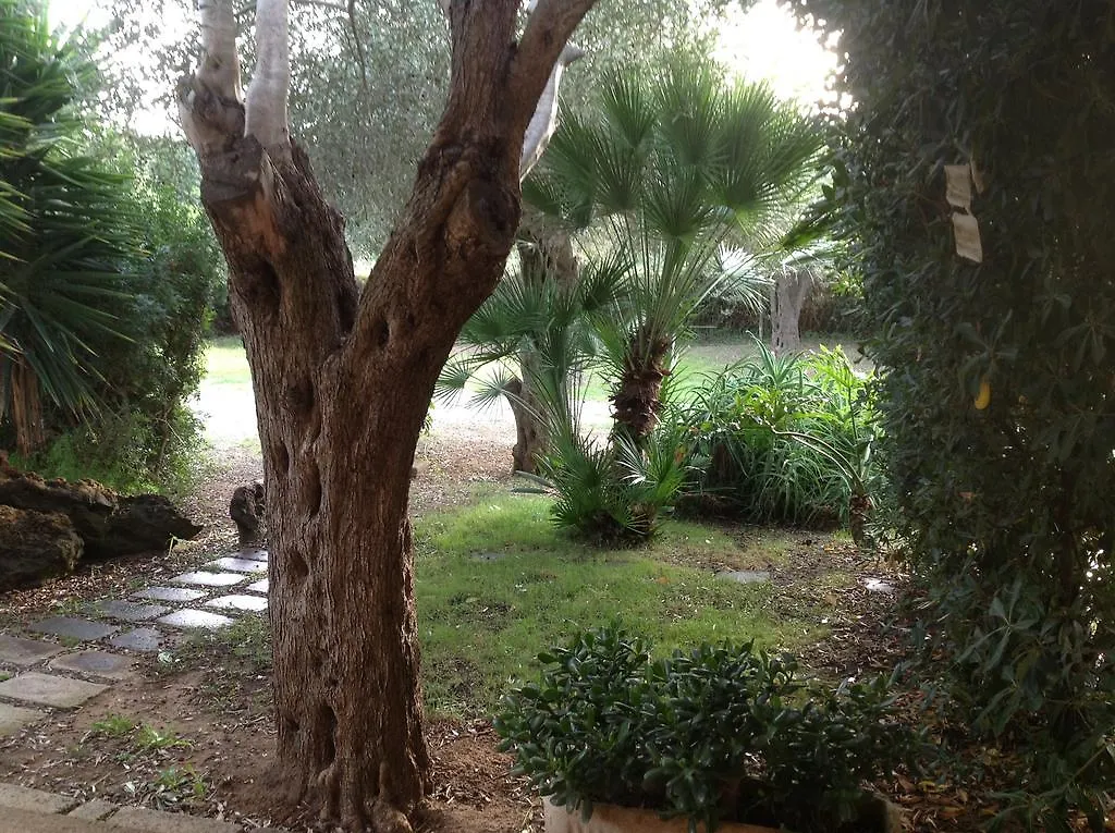 Gli Ulivi Apartment Alghero
